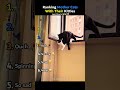 Ranking Mother Cats With Their Kitties 😭