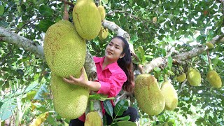 Jackfruit In Grandmother's Backyard Is Good For Cooking / Jack Fruit Recipe / Cooking With Sreypov