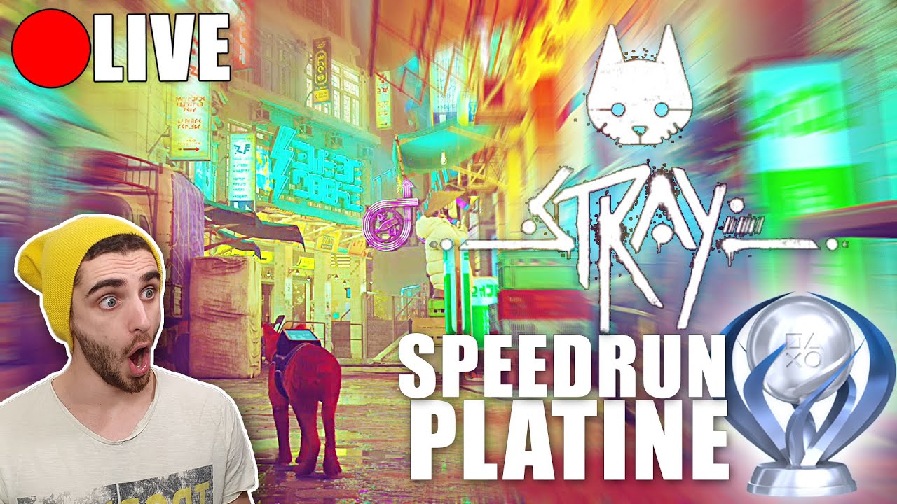 Speedrun et Trophée Platine de Stray 🏆 Speedrun en Direct (