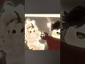 Techy Cooking Emma Without Looking| Techy Edit |#Techy#Edit@TechyCrew-s8u