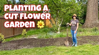 Planting a Cut Flower Garden | Pollinator Friendly Flowers