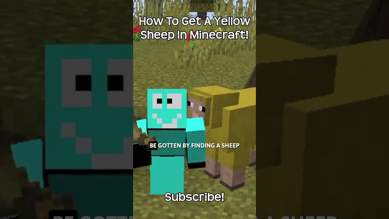 How To Get A Yellow Sheep In Minecraft?!