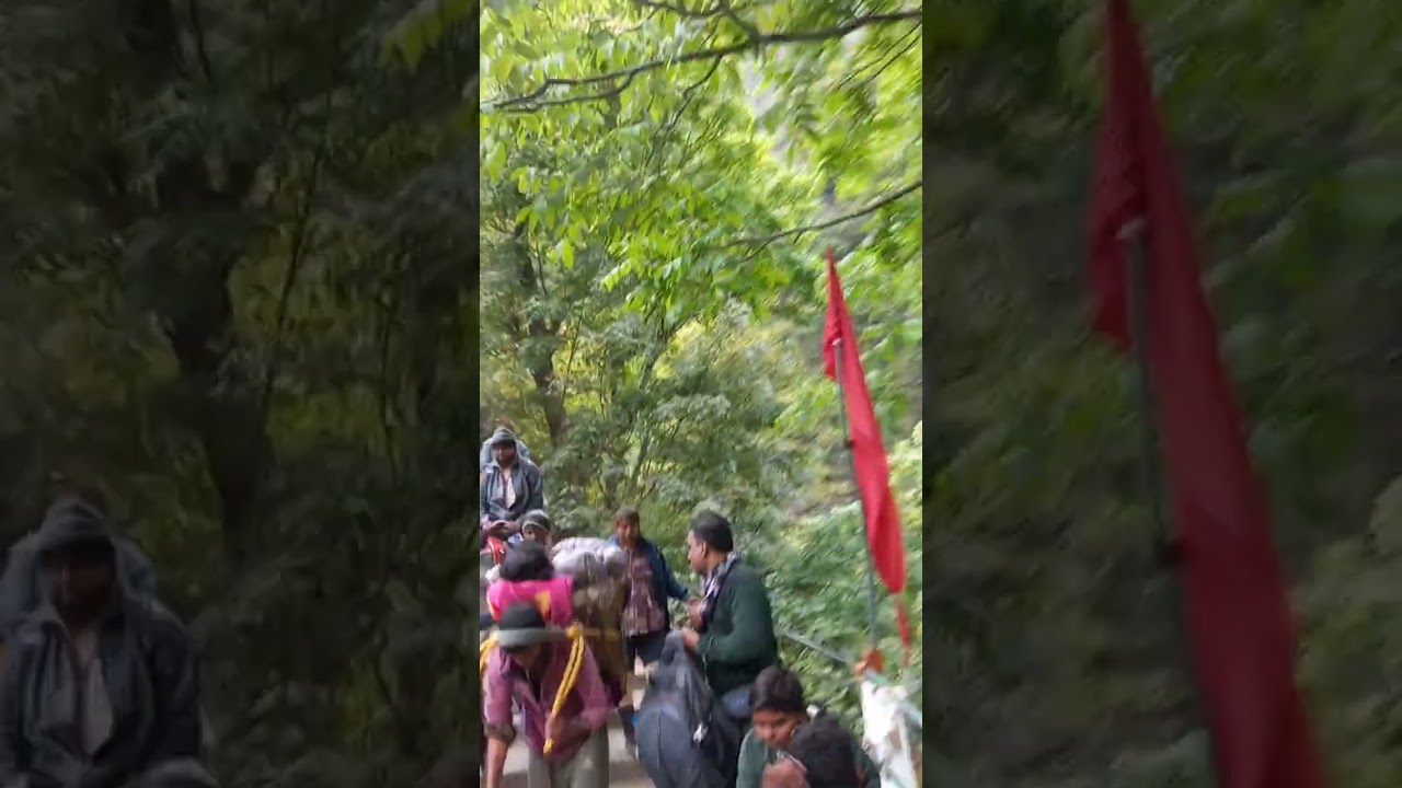 kedarnath trekking 🤩more crowd❤️Bhimbali I 
