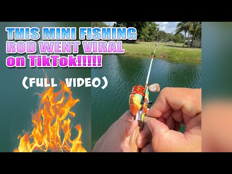 This MICRO Fishing Rod Went VIRAL on TikTok! FULL VIDEO 