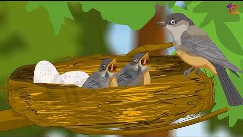 A Tale of Two Birds | Class 6 | Story of Two Birds | English Stories | NCERT | English