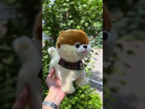 Інтерактивна собачка з пультом управління ходить гавкає реагує на дотик і плескіт іграшка для дітей з аксесуарами, видео 1