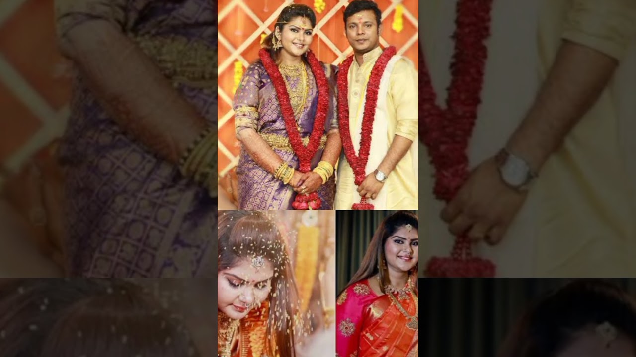 Actor Parthiban daughter abinaya wedding pictures 