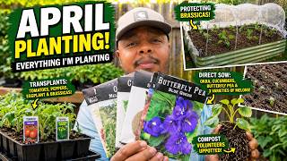 Everything I’m Planting in April (Zone 8b) | Full Garden Setup + Planting Day