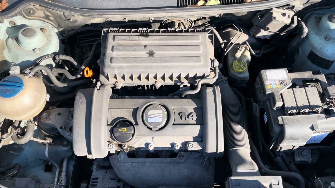 12602 SEAT IBIZA III (6L1) (02.02-11.09) 1.4i 63 kW (BXW) 2007a.