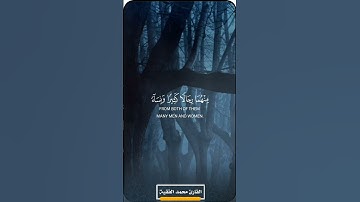 تلاوة في قمة الجمال والهدوء والسكينة ماتيسر من سورة النساء للقار ئ#محمد_الفقية #quran #explore