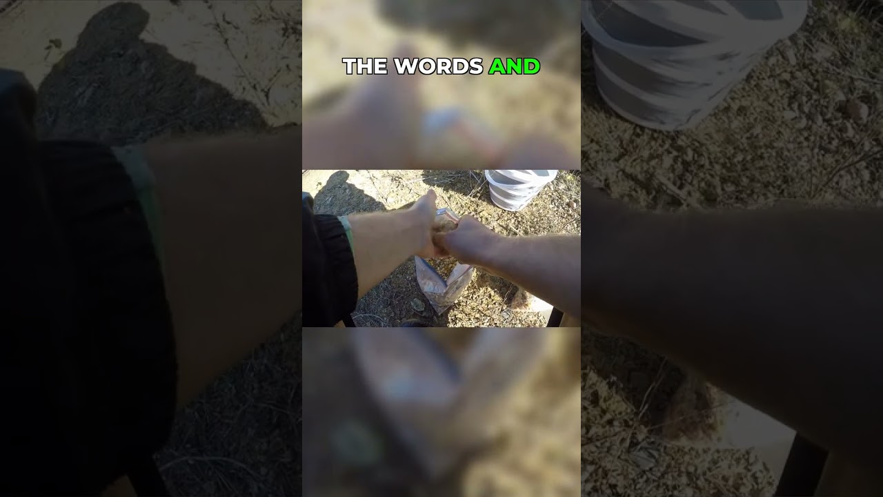 Don't Skip Parts! Bait Questions Answered Here!