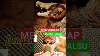 DIA MENYAMAR JADI BUAYA #education #physics #science #shorts @Qunpedia