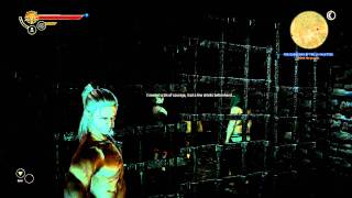 2011-05-29 PC Witcher 2: Prison Break Easter Egg (Michael Scofield Tattoo Reference)