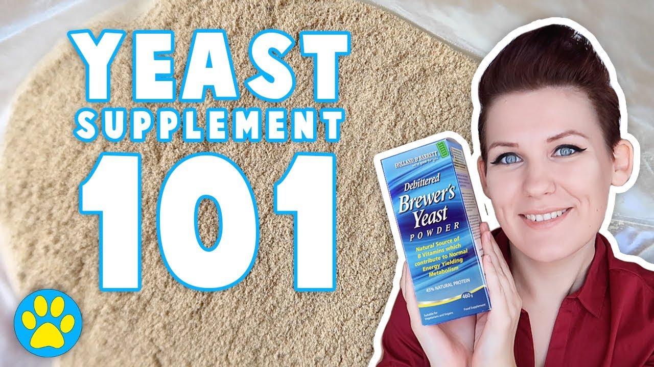 petco hours The Benefits Of Yeast Supplement For Hamsters