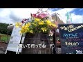 ♪『★鳥羽一郎/カサブランカ グッバイ 』~♪Cover / 映像 白馬岩岳