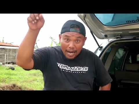 Tarmin ngaklak gawe nguyu ngaklak