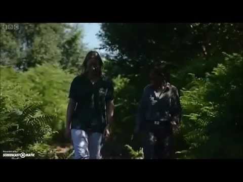 adderall abuse Adders on Nature's Calendar (2010)