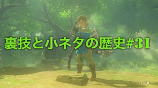 【ゼルダの伝説〜ブレスオブザワイルド〜】裏技と小ネタの歴史#31【裏技】