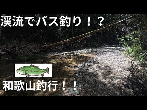 こんな渓流にバスおるん！？和歌山バス釣り釣行記録！新規開拓