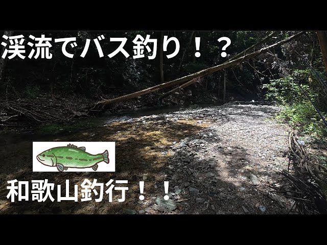 こんな渓流にバスおるん！？和歌山バス釣り釣行記録！新規開拓