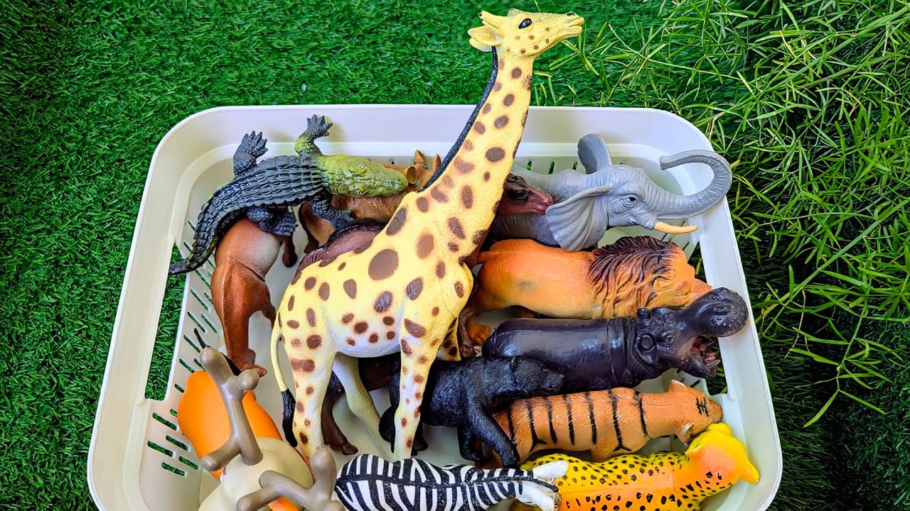 Wild Jungle Animals for Kids: Learn Giraffe, Lion & Elephant Adventure | Fun Educational Video