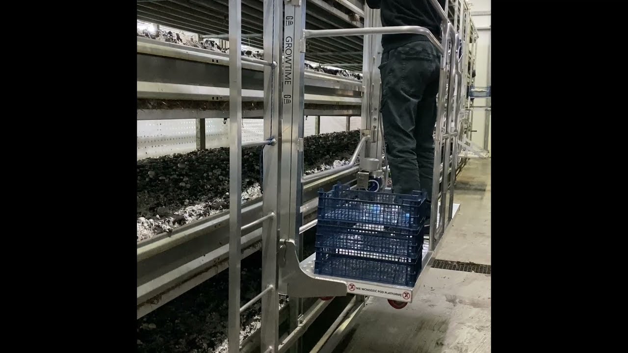 Mushroom picking lorry NEWTON by GROWTIME