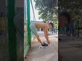 Si nunca has estirado, HAZ ESTO 🔥 #calisthenics #flexibility #workout