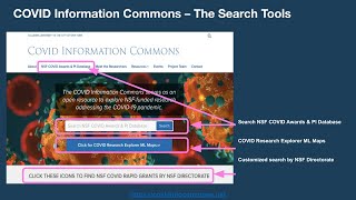 November 2020 COVID Research Lightning Talks: Webinar + Q&A
