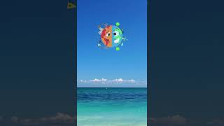 The Ocean & Us | Oxygen & Fresh Water