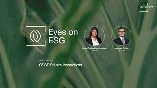 Cssf On Site Inspections Eyes On Esg