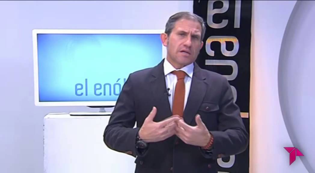 EL ENÓLOGO. PROGRAMA 13. EL VINO ALGO MÁS QUE HUMANO