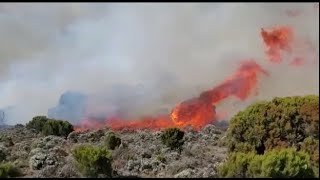 Tanzanie: mobilisation pour contenir un incendie sur le Kilimandjaro | AFP