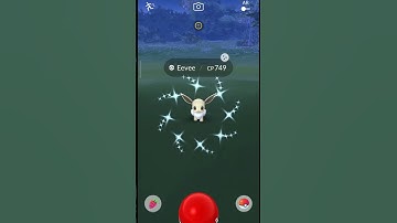 Getting lucky with Shiny Eevee #pokemongo #eevee #short #shiny #lucky