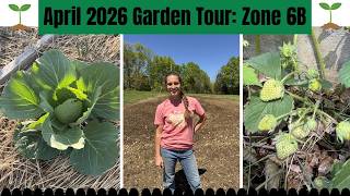 APRIL HOMESTEAD GARDEN TOUR 2026 | Zone 6B | How we grow all our food on under 1 acre!