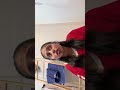 Never enough from the greatest showman #singing #neverenough #greatestshowman #alto