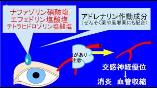 登録販売者試験　眼の薬眼科用薬の成分