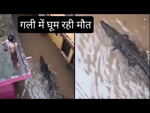 #दिल्ली की बारिश #मगरमक्छ खुलेआम गली में घूम रहा #रिंग रोड #लाल किला में भी पानी भरा /SSRD Vlogger