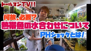 熱帯魚の水合わせの極意！！ＰＨショックや水温変化について詳しく解説〜トールマンTV〜