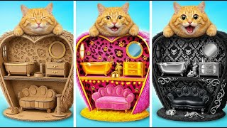 Budget vs Luxury Pet Room Challenge 💎 What Every Cat Owner Needs to See