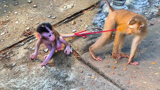 Should be more careful! Monkey Susan is willing to steaI baby Sarino whenever mommy is careless