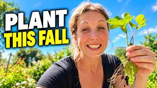 What to Plant in Fall for a Spring Harvest