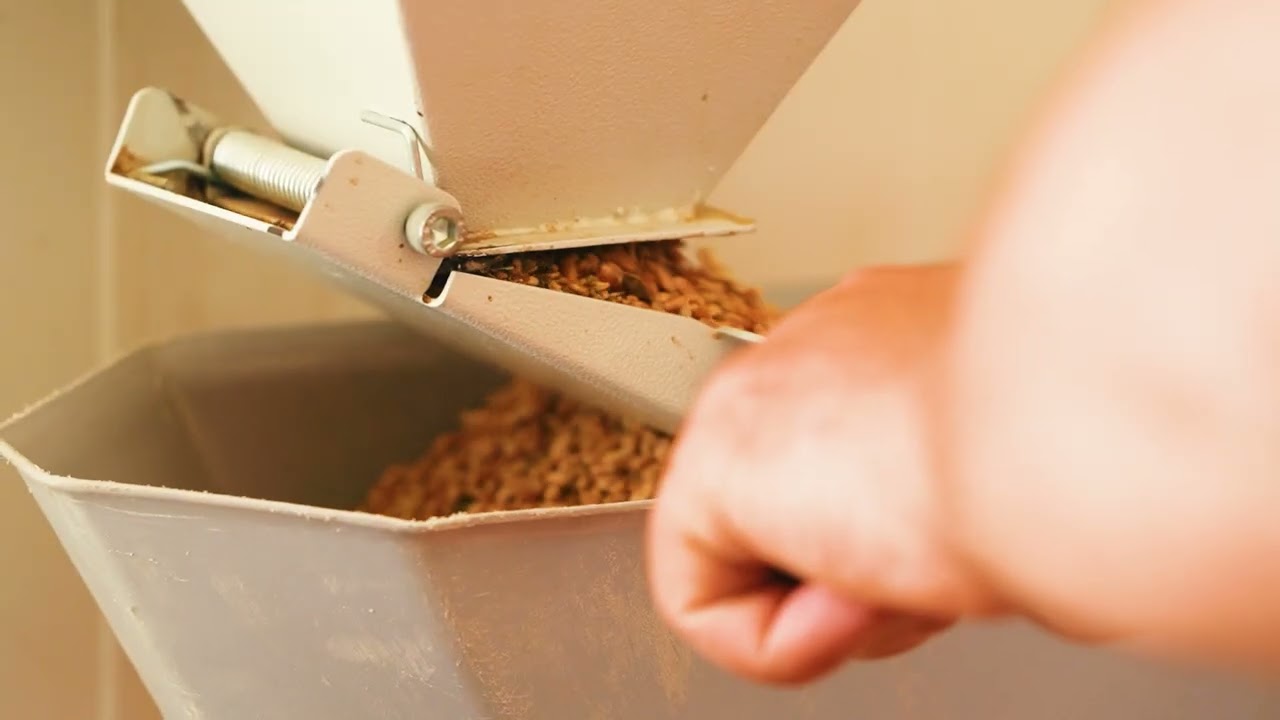 Sort və Toxum Seçimi və Keyfiyyəti.