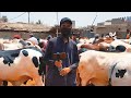 🔴 Live At Malir Cow Mandi 2020 With AR Maani | 3rd Live of Bakra Eid 2020