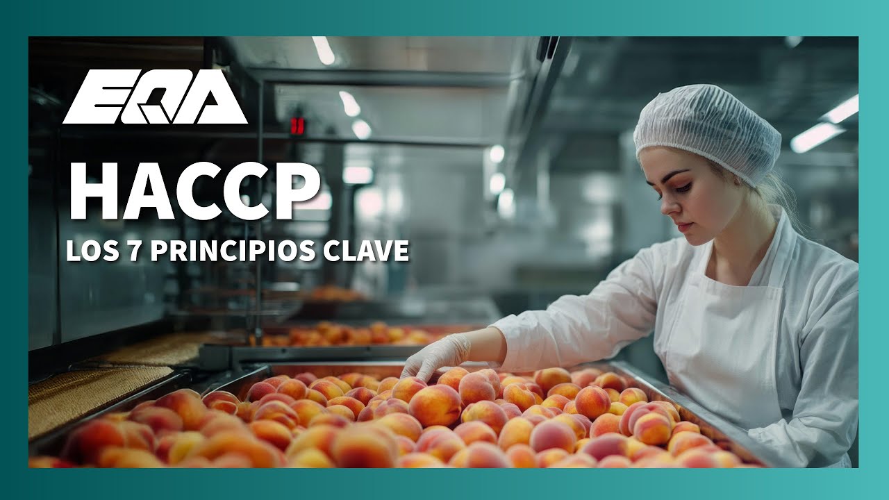 🟢 HACCP: Los 7 Principios Clave Explicados Paso a Paso