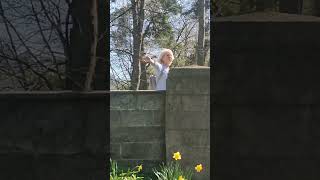 Download Lagu FORGIVENESS EVERYWHERE - VIDEO CLIP by ELWIRA WERECKA MP3