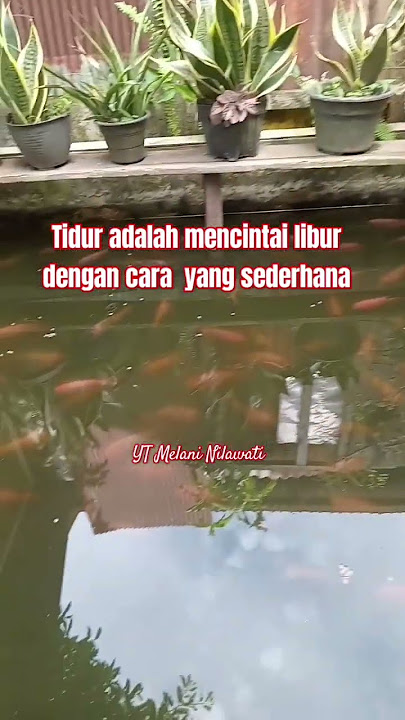 tidak ada yang bisa menandingi tidur siang di hari minggu #shorts #tidur #tidursiang #fyp #nyantai