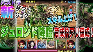 パズドラ 絶壊滅級ジュロンド降臨を育成枠1で攻略 スキルレベルアップ率5倍でスキル上げチャンス Youtube パズドラ 絶壊滅級ジュロンド降臨を育成枠1で攻略 スキルレベルアップ率5倍でスキル上げチャンス Youtube