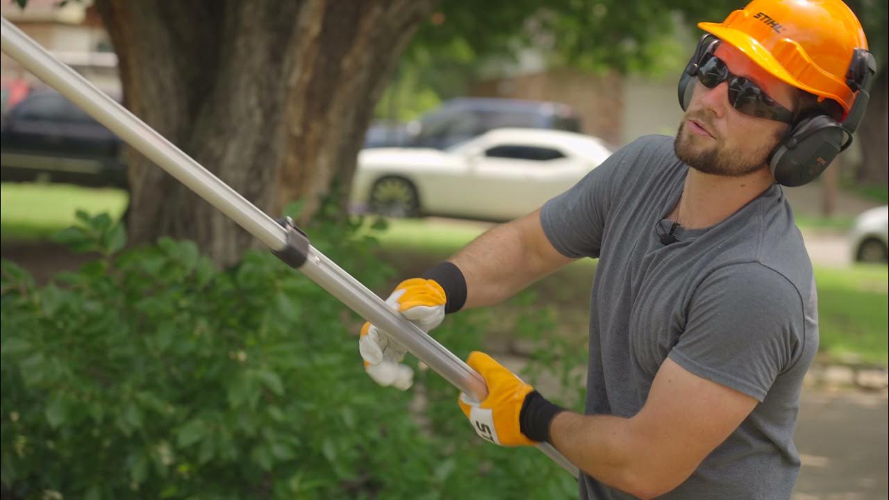 Is A 200 Pole Saw Worth It? STIHL PP 800 Review YouTube