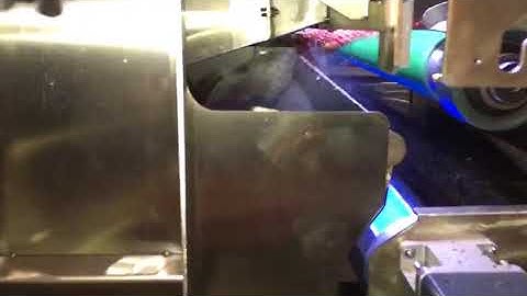 2018 Angelon belt type coffee cherries, fresh coffee fruit color sorting machine/jasmine@ajlong.cn