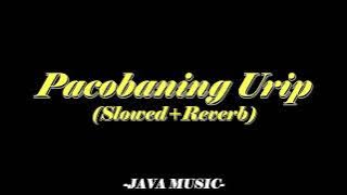 Denny Caknan ft Eri Pras-Pacobaning Urip[slowed]